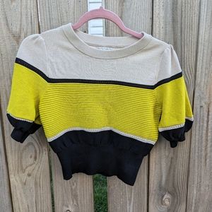 Eva Mendes crop top short sleeve sweater color block like New!
